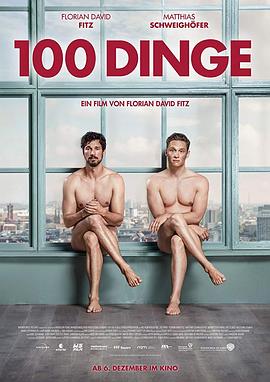 一百样东西 100 Dinge 海报 高清在线观看
