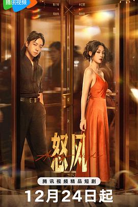 怒风 海报 高清在线观看