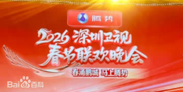 深圳卫视春节联欢晚会2026 海报 高清在线观看