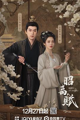 昭离赋 海报 高清在线观看