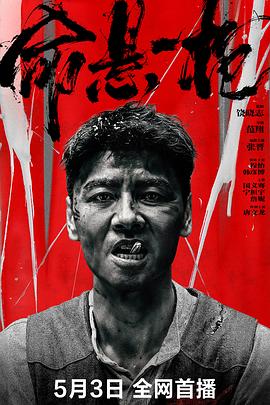 命悬一枪四川话 海报 高清在线观看