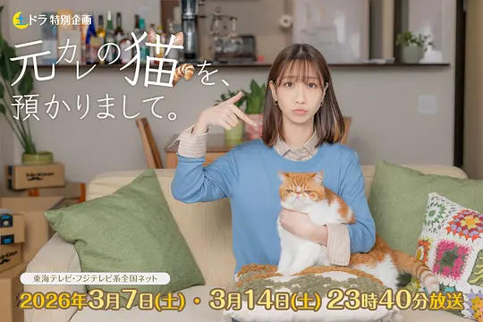 我收留了前男友的猫 海报 高清在线观看