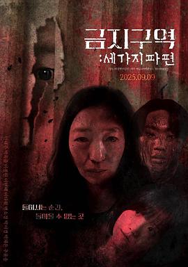 禁区：三个碎片 海报 高清在线观看
