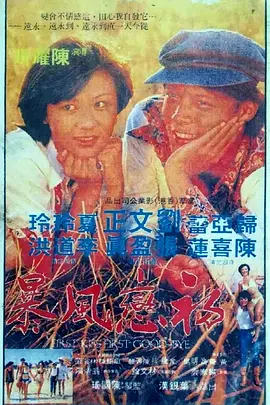 初恋风暴1978 海报 高清在线观看
