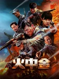 火中金 海报 高清在线观看