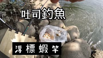 你钱我花 独担旅行 第四季 海报 高清在线观看