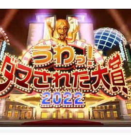 日本整人大赏 2024年冬季3小时SP 海报 高清在线观看