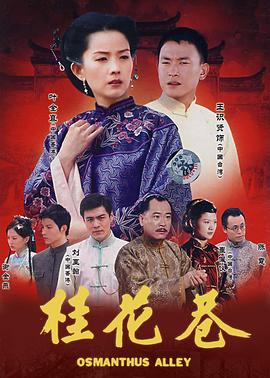 桂花巷2002 海报 高清在线观看