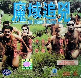 魔域追凶 海报 高清在线观看