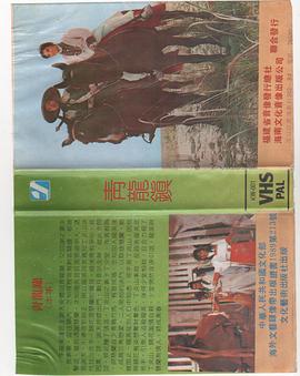 青龍鎮 海报 高清在线观看