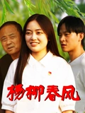 杨柳春风 海报 高清在线观看