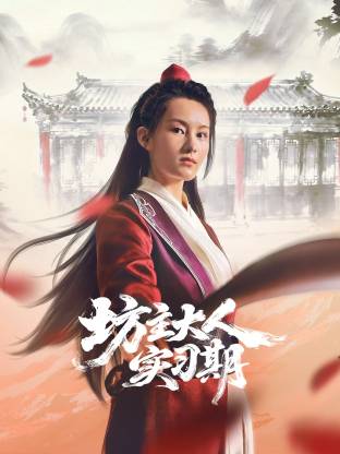 坊主大人实习期 海报 高清在线观看