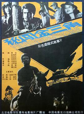 秘闯金三角 海报 高清在线观看
