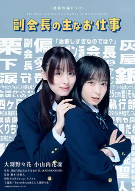 副会长的主要工作 海报 高清在线观看