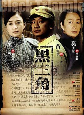 黑三角2008 海报 高清在线观看