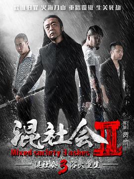 浴火重生2016 海报 高清在线观看