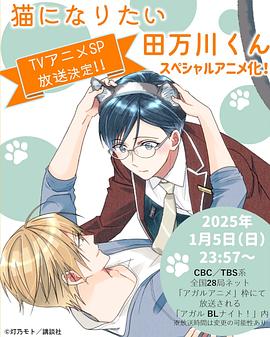 想变成猫的田万川君 海报 高清在线观看