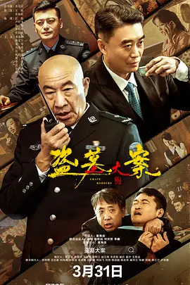 盗墓大案 追捕行动 海报 高清在线观看