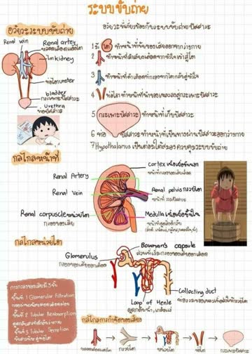 错误 海报 高清在线观看
