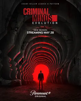犯罪心理：演变 第十九季 Criminal Minds: Evolution Season 19 海报 高清在线观看