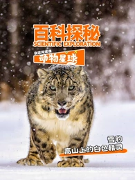 科探秘动物星球：高山上的白色精灵雪豹 海报 高清在线观看