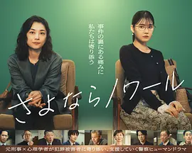 再见黑色 海报 高清在线观看