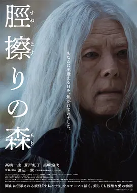 胫擦之森 海报 高清在线观看