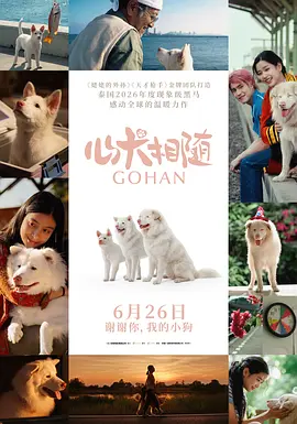 心犬相随 海报 高清在线观看