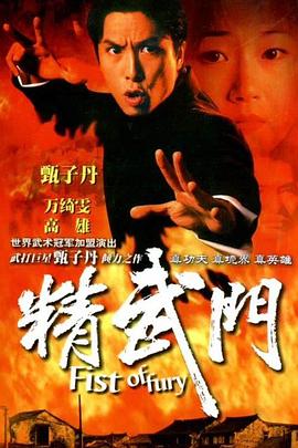 精武门1995国语 海报 高清在线观看