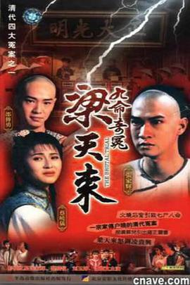 九命奇冤梁天来 海报 高清在线观看