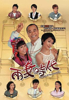 两妻时代 海报 高清在线观看