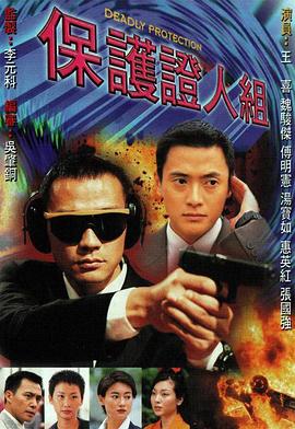 保护证人组 海报 高清在线观看