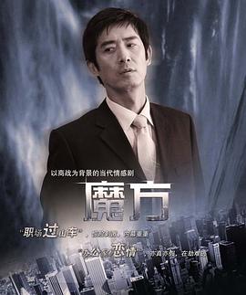 魔方2008 海报 高清在线观看