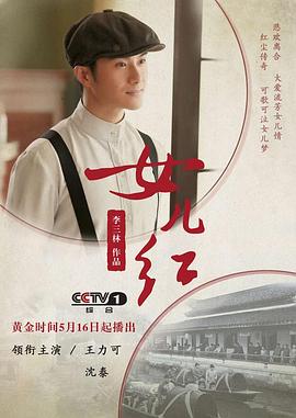女儿红2017 海报 高清在线观看