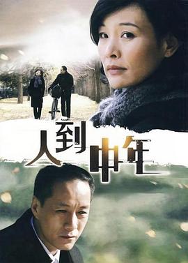 人到中年2009 海报 高清在线观看