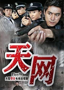 天网2011 海报 高清在线观看