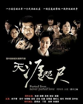 天涯咫尺2008 海报 高清在线观看
