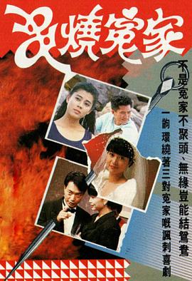串烧冤家 海报 高清在线观看