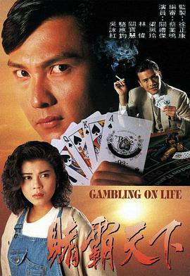 赌霸天下1993 海报 高清在线观看