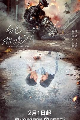白色橄榄树 海报 高清在线观看