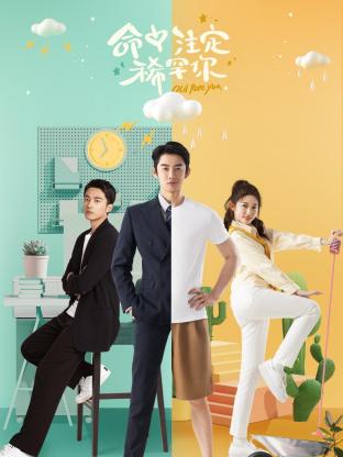 命中注定稀罕你 海报 高清在线观看