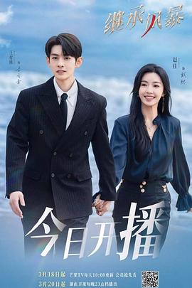 继承风暴 海报 高清在线观看