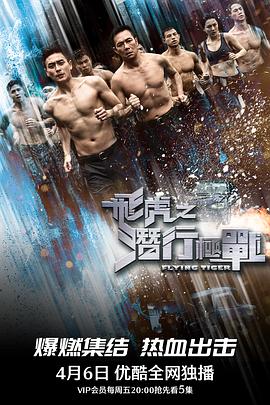 飞虎之潜行极战粤语 海报 高清在线观看