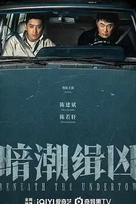 暗潮缉凶 海报 高清在线观看