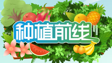 种植前线2026 海报 高清在线观看