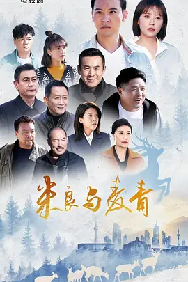 米良与麦青 海报 高清在线观看
