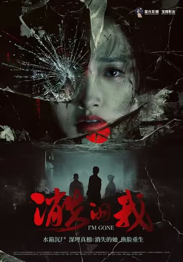 消失的我 海报 高清在线观看
