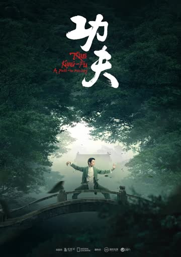 功夫2023 海报 高清在线观看
