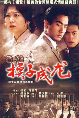 换子成龙 海报 高清在线观看