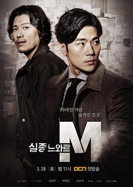 特殊失踪专案组：失踪的黑色M 海报 高清在线观看